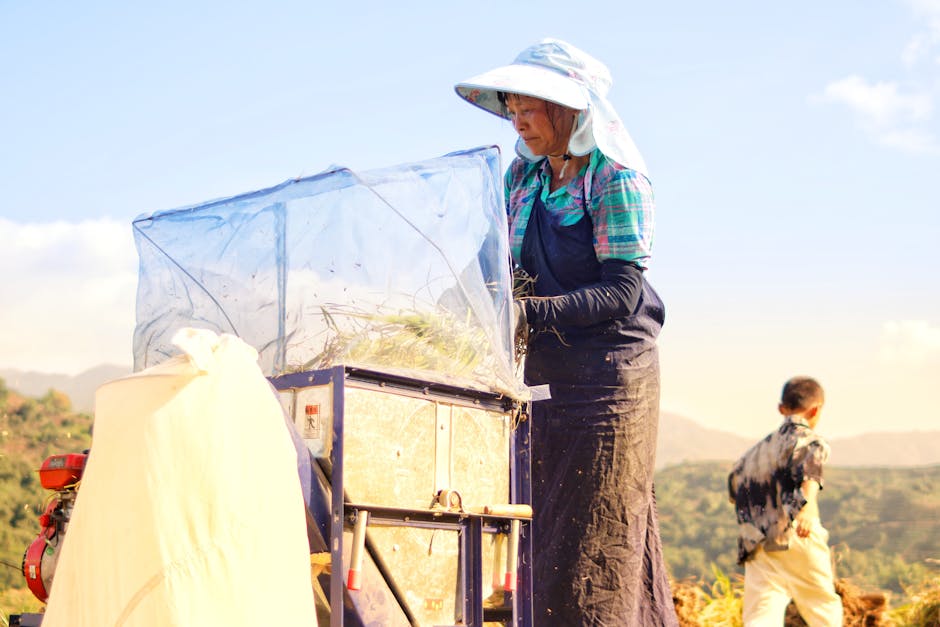 30代 男 紫外線 シミ対策 日焼け止め おすすめのイメージ画像
